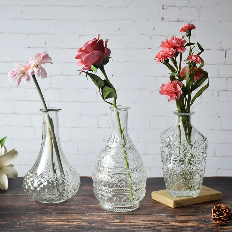 Popular Modern Style Glass Vase Decorative Glass Flower Plant Vase Tabletop Vase for for Office
