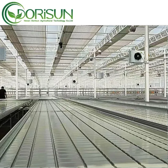Agricultural Greenhouse Metal Seedbed Greenhouse Table Rolling Bench Trays
